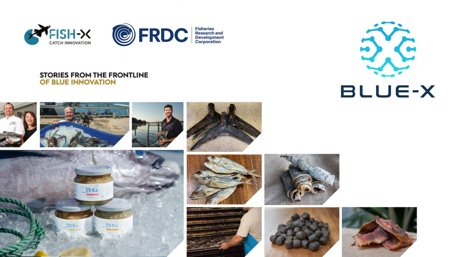 Fish-X Case Studies Fish-X Case Studies